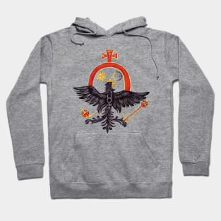 Black Eagle with alchemical sun & moon Hoodie